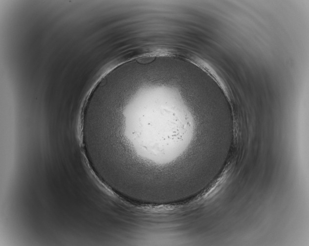 X0000096210851200801181429
