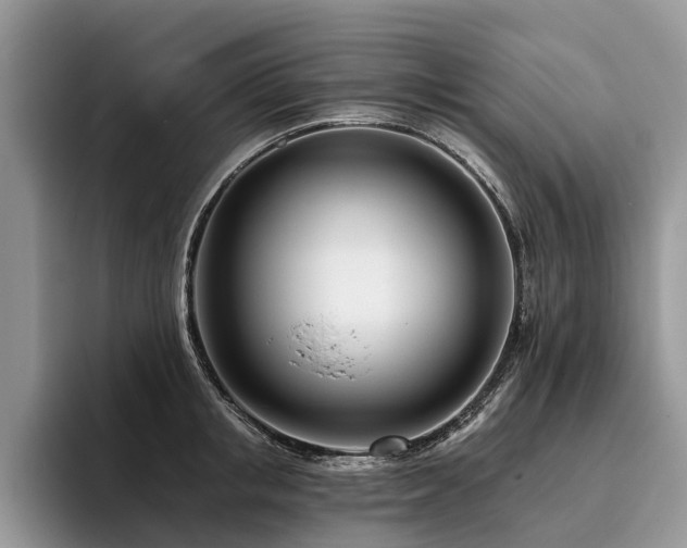 X0000096210853200801181429