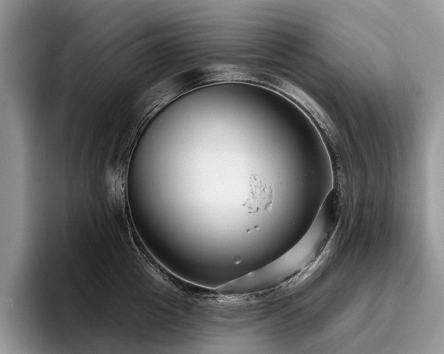 X0000096210857200801181429