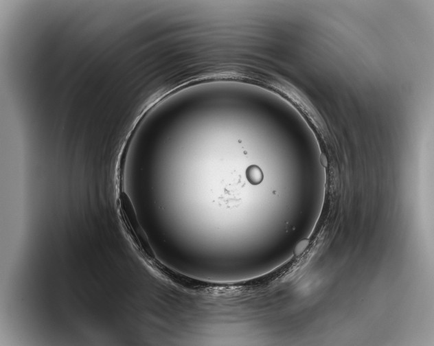 X0000096210858200801181429