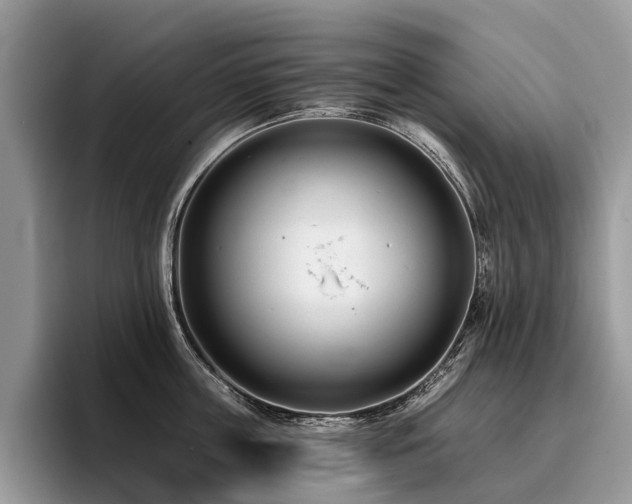 X0000096210859200801181429