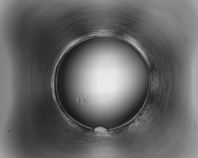 X0000096210861200801181429