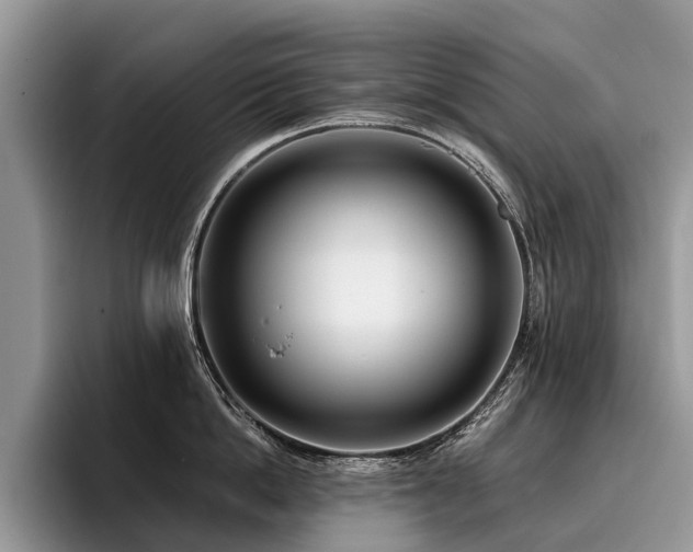 X0000096210862200801181429