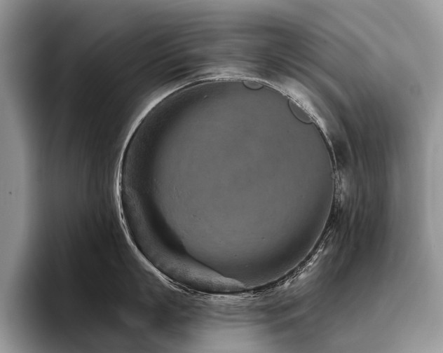 X0000096210863200801181429