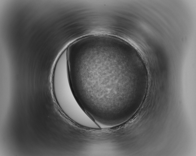 X0000096210864200801181429