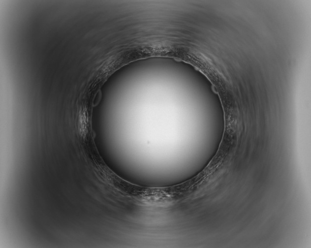 X0000096210866200801181428