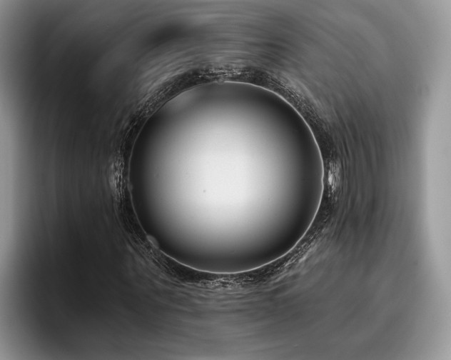 X0000096210867200801181428