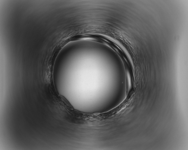 X0000096210868200801181428