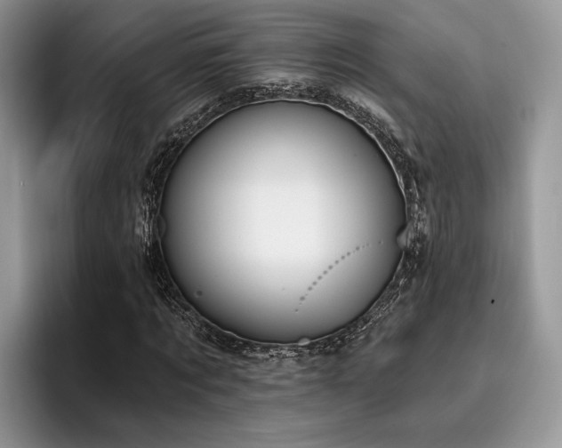 X0000096210869200801181428