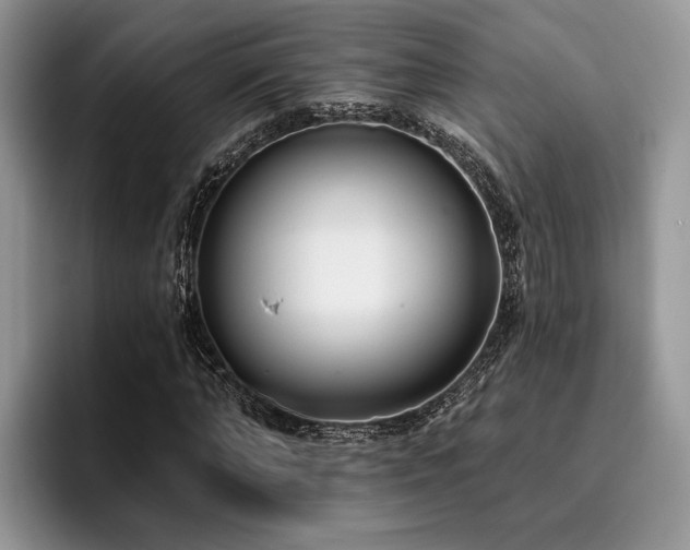 X0000096210870200801181428