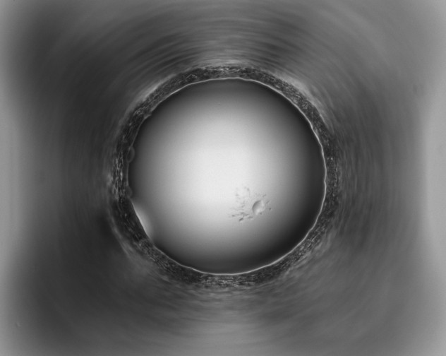 X0000096210871200801181428