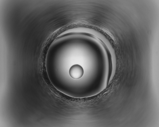X0000096210872200801181428