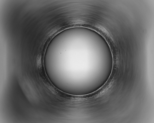 X0000096210873200801181428
