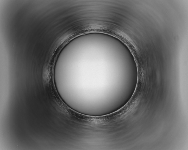 X0000096210874200801181428