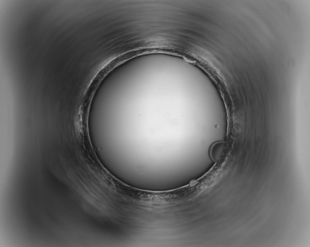 X0000096210875200801181428