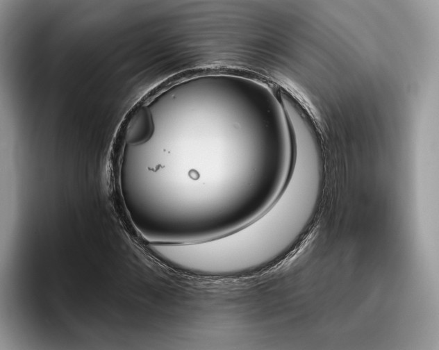 X0000096210876200801181428