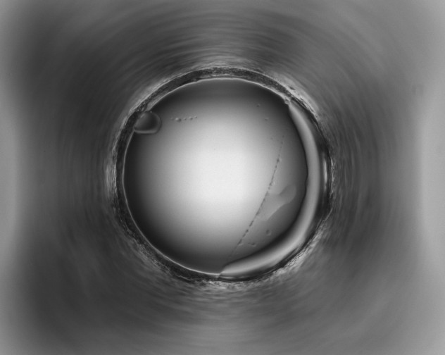 X0000096210877200801181428
