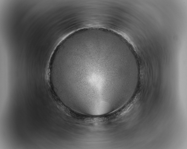 X0000096210879200801181428