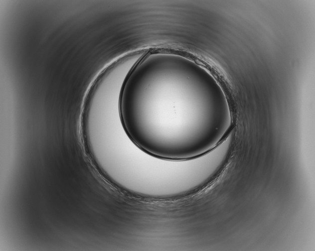 X0000096210880200801181428