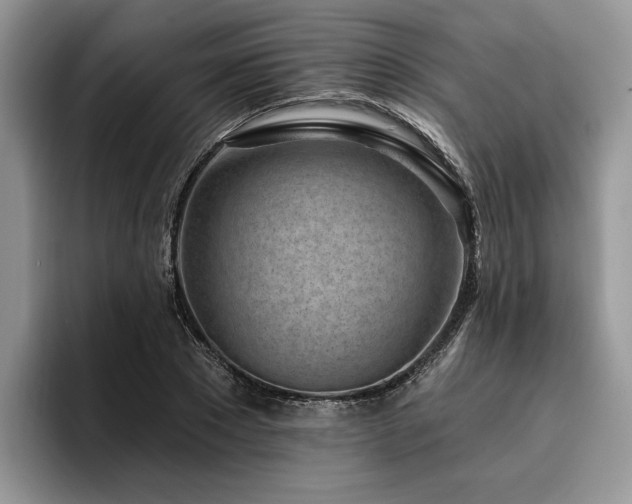 X0000096210881200801181428