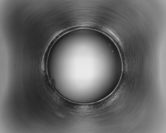 X0000096210883200801181428