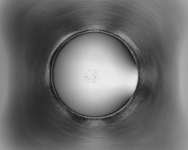 X0000096210886200801181428