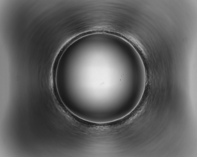 X0000096210888200801181428
