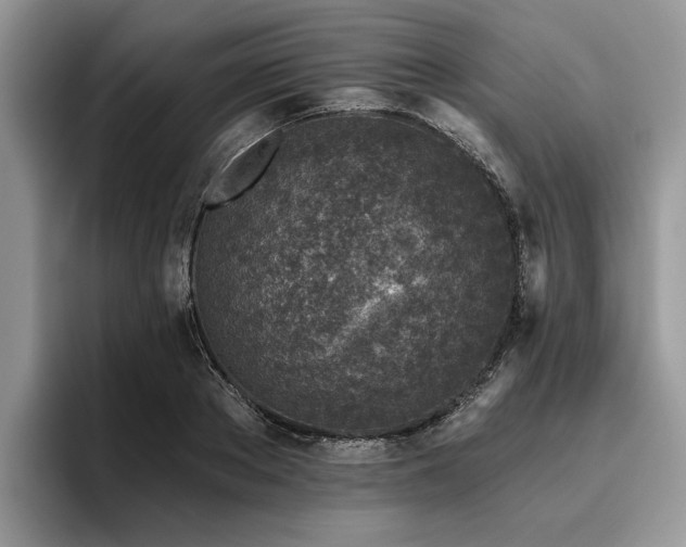 X0000096210889200801181428