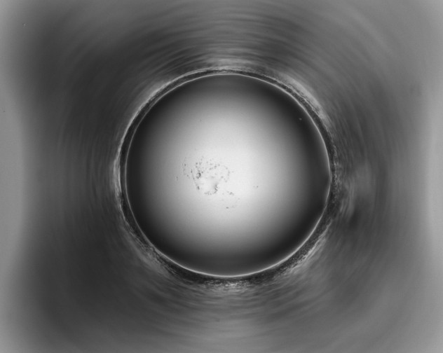 X0000096210891200801181428