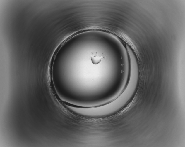 X0000096210892200801181428