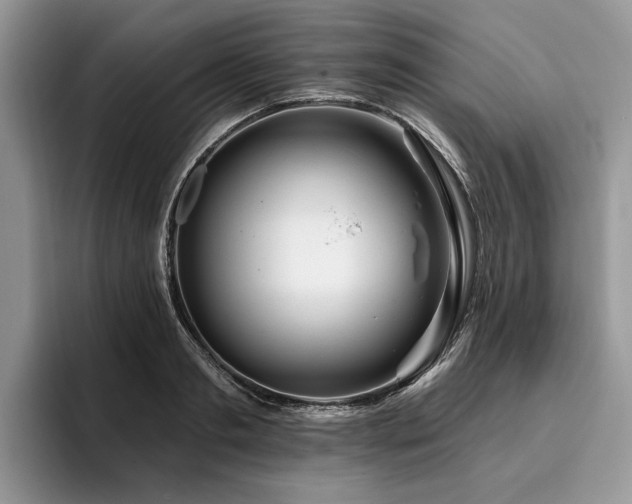 X0000096210893200801181428