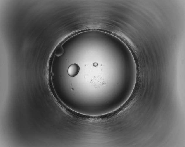 X0000096210894200801181428