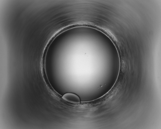X0000096210895200801181428