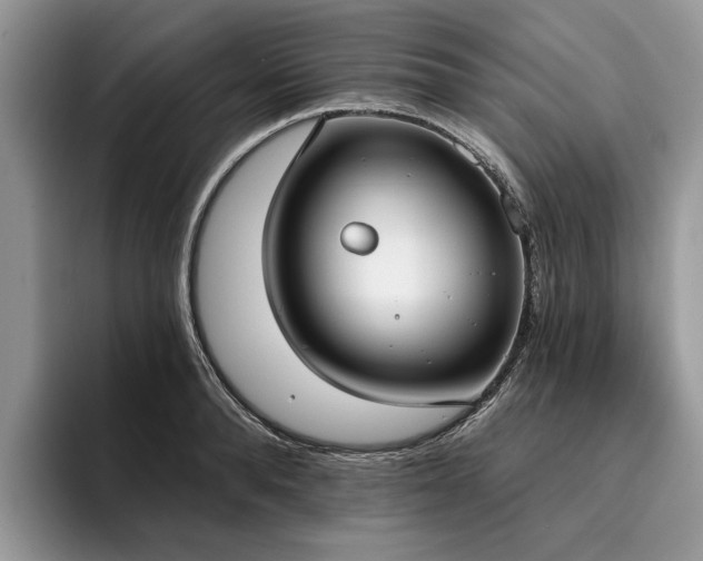 X0000096210896200801181428