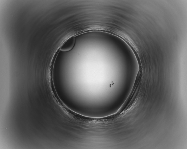 X0000096210898200801181428