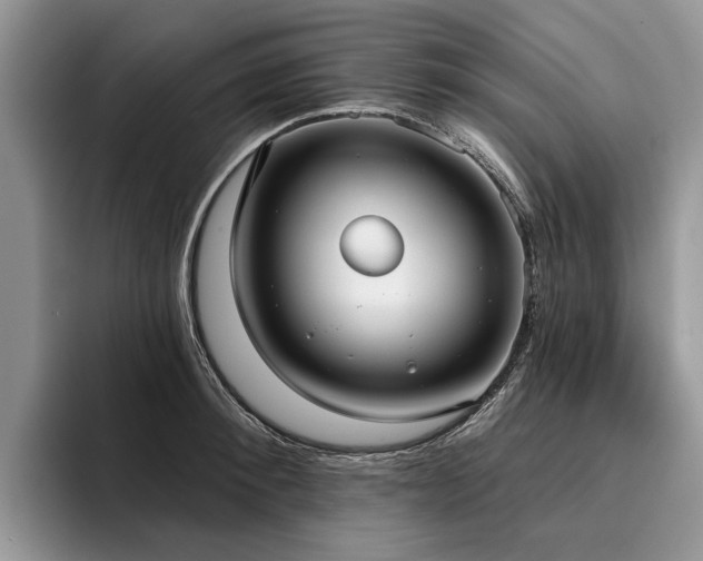 X0000096210900200801181428
