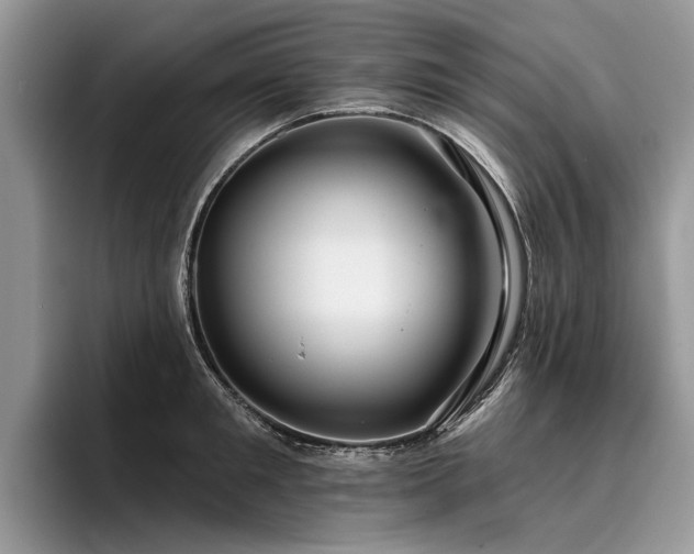 X0000096210901200801181428
