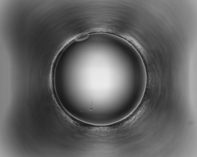 X0000096210902200801181428