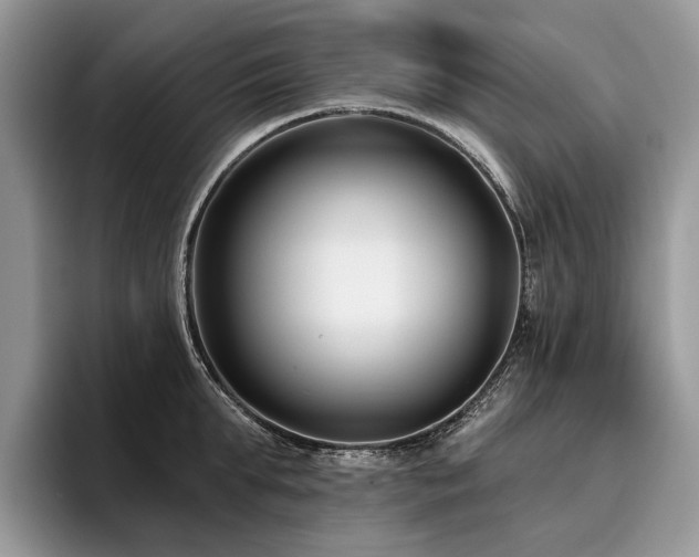 X0000096210903200801181428