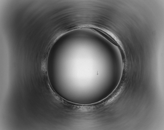 X0000096210905200801181428