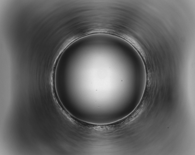 X0000096210906200801181428