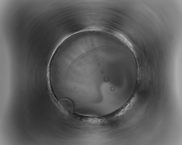 X0000096210907200801181428