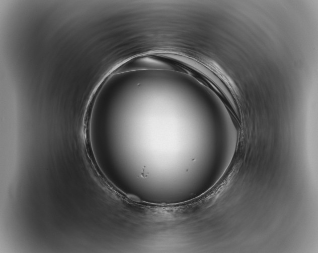 X0000096210908200801181428