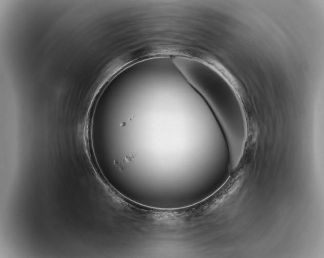 X0000096210909200801181428