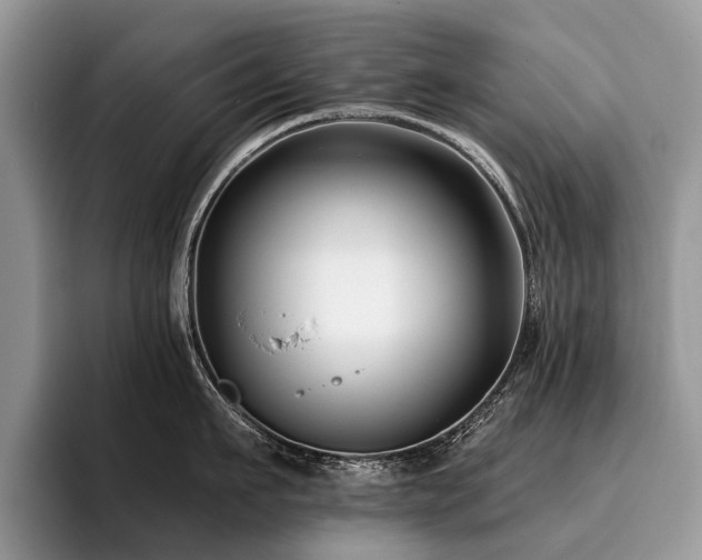 X0000096210911200801181428