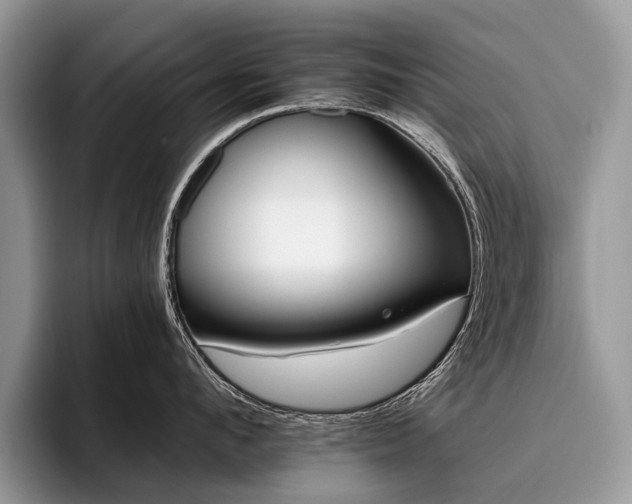 X0000096210912200801181428