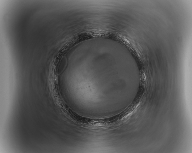 X0000096210913200801181427