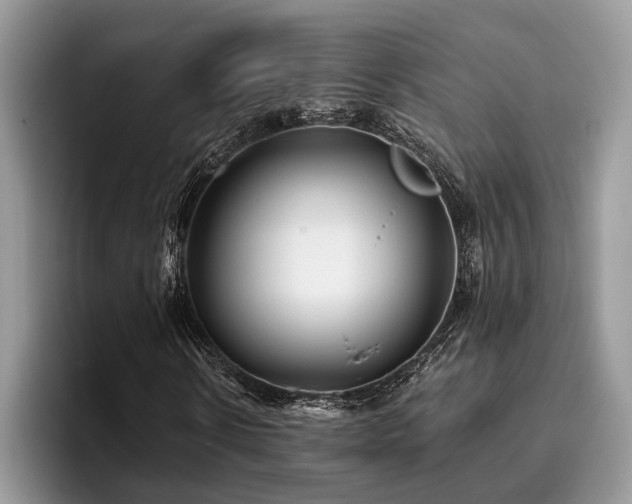X0000096210914200801181427