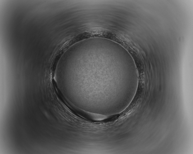 X0000096210916200801181427