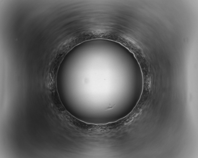 X0000096210917200801181427